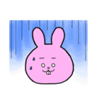 ゆるいウサギ、ネコ、パンダ（個別スタンプ：12）