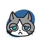 ふじまるのこねこたち（個別スタンプ：31）