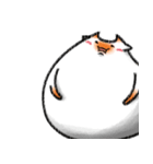 ドラカット-メロン（個別スタンプ：16）