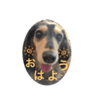 RAMU☆RIKU☆MIMI（個別スタンプ：3）