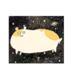 動かないハムスターのスタンプ（個別スタンプ：40）