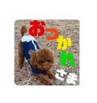 トイスタンプ2（個別スタンプ：3）
