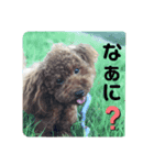 トイスタンプ2（個別スタンプ：7）