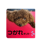 トイスタンプ2（個別スタンプ：8）