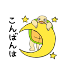かめぽん 2（個別スタンプ：5）