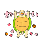 かめぽん 2（個別スタンプ：9）