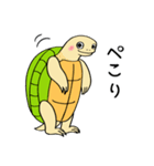 かめぽん 2（個別スタンプ：11）