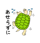 かめぽん 2（個別スタンプ：18）