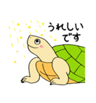 かめぽん 2（個別スタンプ：24）