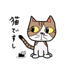 ねこの日常物語 〜挨拶編〜（個別スタンプ：1）