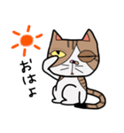 ねこの日常物語 〜挨拶編〜（個別スタンプ：3）