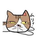 ねこの日常物語 〜挨拶編〜（個別スタンプ：4）