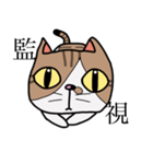 ねこの日常物語 〜挨拶編〜（個別スタンプ：10）