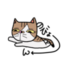 ねこの日常物語 〜挨拶編〜（個別スタンプ：12）