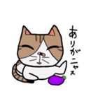 ねこの日常物語 〜挨拶編〜（個別スタンプ：13）