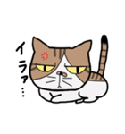ねこの日常物語 〜挨拶編〜（個別スタンプ：15）