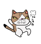 ねこの日常物語 〜挨拶編〜（個別スタンプ：16）
