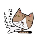 ねこの日常物語 〜挨拶編〜（個別スタンプ：23）