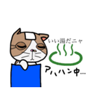 ねこの日常物語 〜挨拶編〜（個別スタンプ：24）
