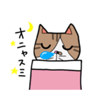 ねこの日常物語 〜挨拶編〜（個別スタンプ：28）