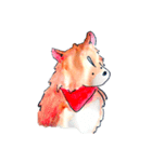 うちのニコル（個別スタンプ：16）