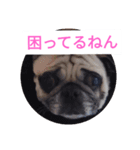 TOTO's stump4（個別スタンプ：1）