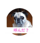 TOTO's stump4（個別スタンプ：2）