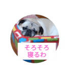 TOTO's stump4（個別スタンプ：4）