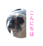 TOTO's stump4（個別スタンプ：5）