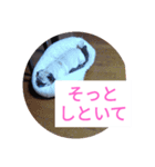 TOTO's stump4（個別スタンプ：7）