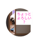TOTO's stump4（個別スタンプ：8）