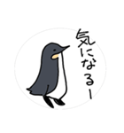 相槌うちのコウテイペンギン（個別スタンプ：11）