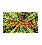 温度語録Ⅱ（個別スタンプ：6）