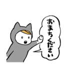 ねこぐるみ坊や（個別スタンプ：6）