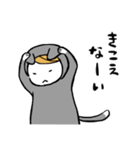 ねこぐるみ坊や（個別スタンプ：7）