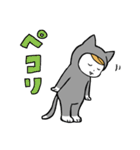 ねこぐるみ坊や（個別スタンプ：8）