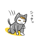 ねこぐるみ坊や（個別スタンプ：23）