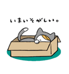 ねこぐるみ坊や（個別スタンプ：38）