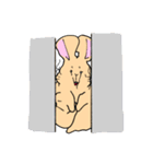 ねずみのチィくんスタンプ（個別スタンプ：20）