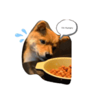 わんandにゃん（個別スタンプ：2）