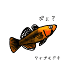 僕のハゼたち（個別スタンプ：4）
