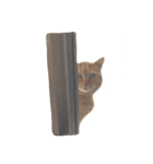 ライアン♂猫ネコねこ。（個別スタンプ：2）