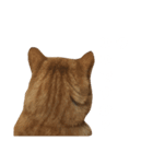 ライアン♂猫ネコねこ。（個別スタンプ：3）