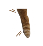 ライアン♂猫ネコねこ。（個別スタンプ：4）