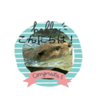 カワウソ スタンプ ①（個別スタンプ：1）