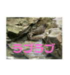 カワウソ スタンプ ①（個別スタンプ：2）