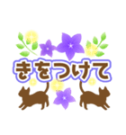 使いやすいネコと桔梗★日常会話（個別スタンプ：31）