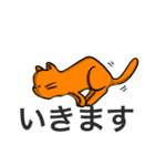 橙猫（個別スタンプ：24）