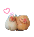 なりちゃん✖️ぶんちょう（個別スタンプ：2）