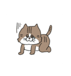 なかよしなネコとトリ（個別スタンプ：7）